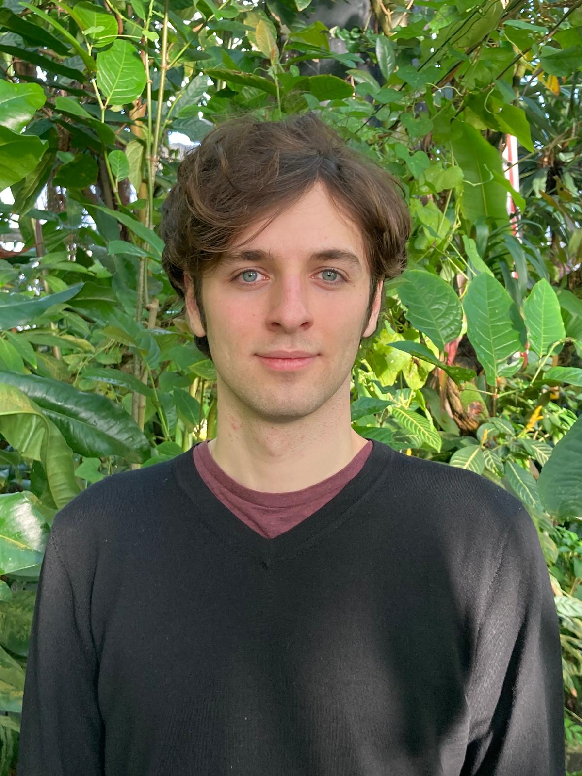 Afbeelding van Felix Heyman 2