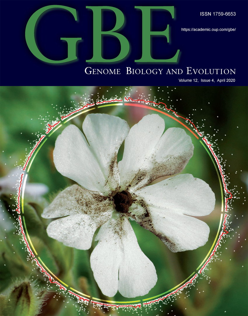 gbe-12-4cover