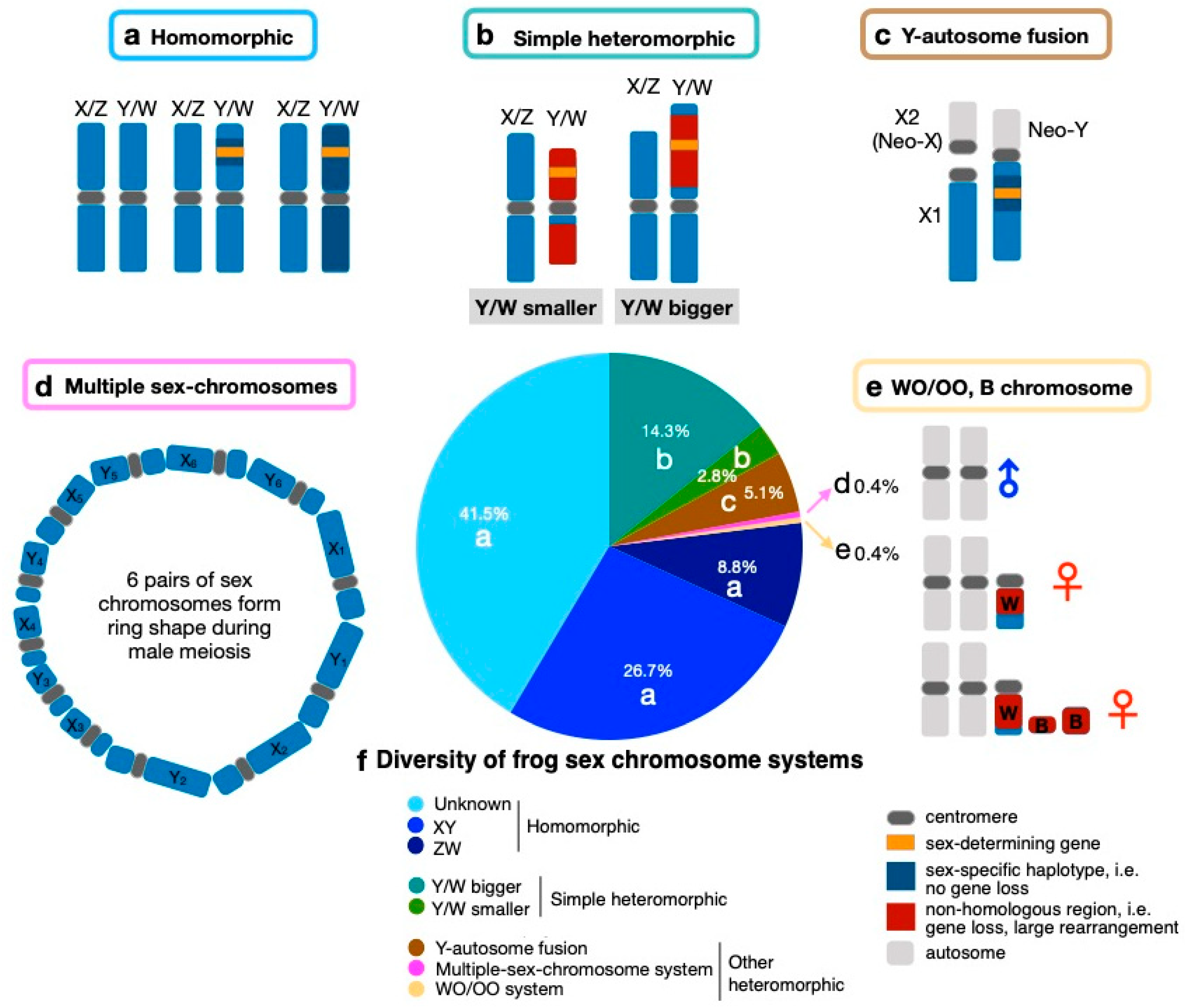 genes-12-00483-g001