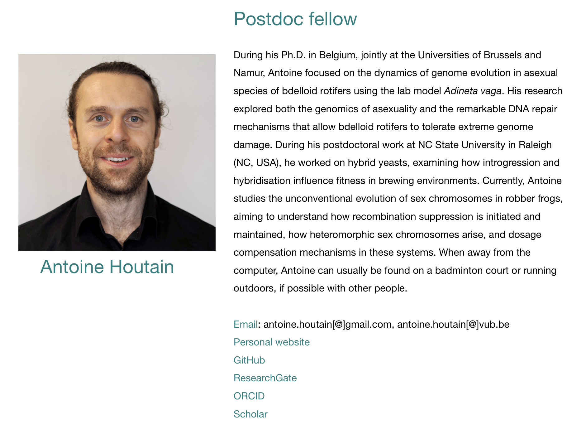 Screenshot 2025-10-17 at 01.21.10