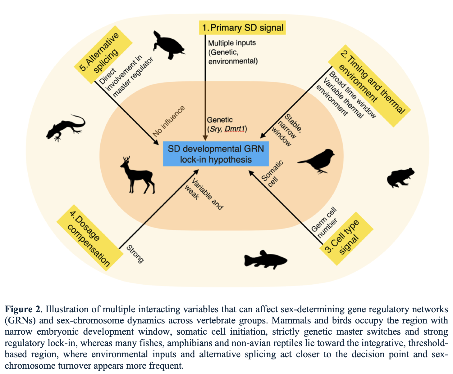 Screenshot 2026-03-06 at 09.44.30